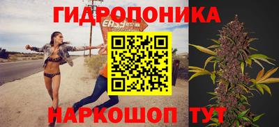 метадон Аргун