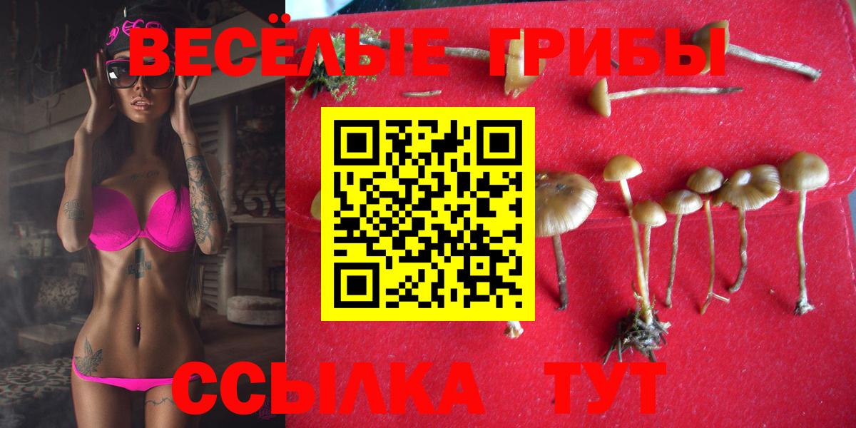 Галлюциногенные грибы Psilocybine cubensis Верхняя Салда